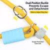 Polyester Rope Dog Leash for Training and Everyday Walks