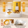 Automatic Pet Feeder & Water Dispenser with Dual Bowls