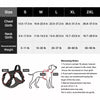 Adjustable Nylon Dog Harness with 59.1-Inch Leash