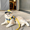 Pet Harness, Leash & Hat Sets for Cats and Dogs