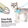 Nylon Rope Dog Leash