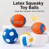 Squeaky Sports Ball Dog Toys