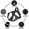 Adjustable Nylon Dog Harness with 59.1-Inch Leash