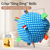 Squeaky Rolling Ball Dog Toy