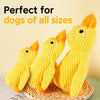 Plush Squeaky Animal Toy for Dogs & Cats