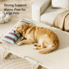 Elevated Dog Cot with Nylon Cover and Stainless Steel Frame