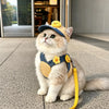 Pet Harness, Leash & Hat Sets for Cats and Dogs