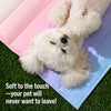 Nylon Pet Mat for Dogs and Cats