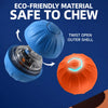 Squeaky Bouncing Ball Dog Toy