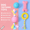 Dog Chew Toys in Assorted Shapes
