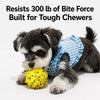 Dog Ball Toy with Round and Spiky Texture Options