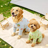 Four-Leg Mesh Dog Shirt with Printed Design