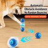 Squeaky Bouncing Ball Dog Toy
