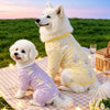 Four-Leg Mesh Dog Shirt with Printed Design