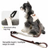 Adjustable Polyester Vest-Style Dog Harness and Leash Set