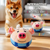 Interactive Electric Dog Toy with Jumping Ball and Rope