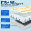 Waterproof PVC Pet Mat for Cats and Dogs