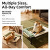 Portable Elevated Pet Bed with Breathable Mesh and Removable Cushion