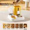 Automatic Pet Feeder & Water Dispenser with Dual Bowls