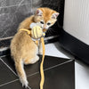 H-Style Cat Harness and Leash for Kittens