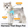 Nylon Rope Dog Leash