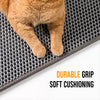 Double-Layer Cat Litter Mat for Easier Cleanup