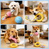 Dog Chew Toy for Playtime