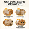 Rechargeable Interactive Cat Toy with Wand and Play Cover