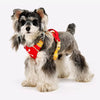 Adjustable Polyester Vest-Style Dog Harness and Leash Set