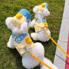 Pet Harness, Leash & Hat Sets for Cats and Dogs