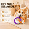 Interactive Dog Tug Ring Toy