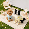 Lightweight Four-Leg Dog Shirt for Summer