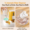 Automatic Pet Feeder and Water Dispenser with Dual Bowls