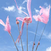 Feather Cat Teaser Wand Toy for Interactive Playtime
