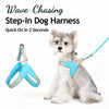 Nylon Rope Dog Leash