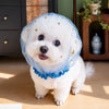 Breathable Mesh Muzzle for Small Dogs