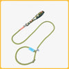 Nylon Dog Leash for Everyday Walks