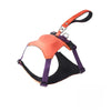Nylon Dog Harness and Leash Combo