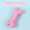 Dog Chew Toy for Playtime