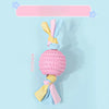 Dog Chew Toy for Playtime