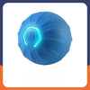 Squeaky Bouncing Ball Dog Toy