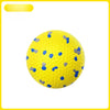 Dog Ball Toy with Round and Spiky Texture Options