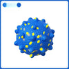 Dog Ball Toy with Round and Spiky Texture Options