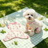 Lightweight Four-Leg Dog Shirt for Summer