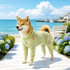Mesh Four-Leg Dog Shirt with Printed Design