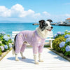 Mesh Four-Leg Dog Shirt with Printed Design