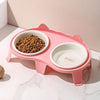 Elevated Double Ceramic Cat Bowls with Stand