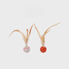 Cat Feather Ball Toy for Interactive and Independent Play