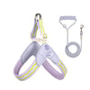 Nylon Rope Dog Leash
