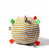 Squeaky Rolling Ball Dog Toy